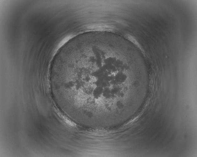 X0000078861071200611201307