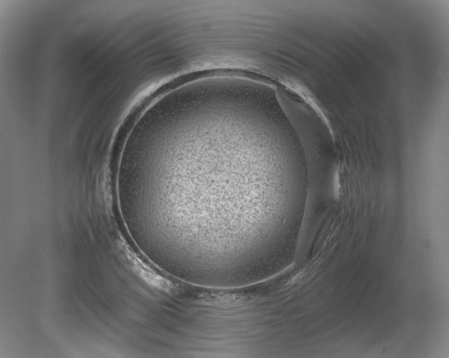 X0000078861072200611201307