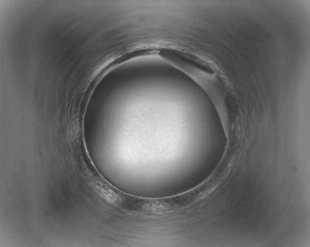 X0000078861073200611201307