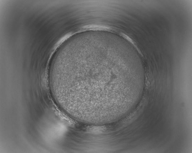 X0000078861074200611201307