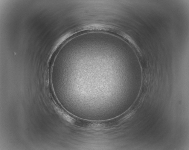 X0000078861075200611201307