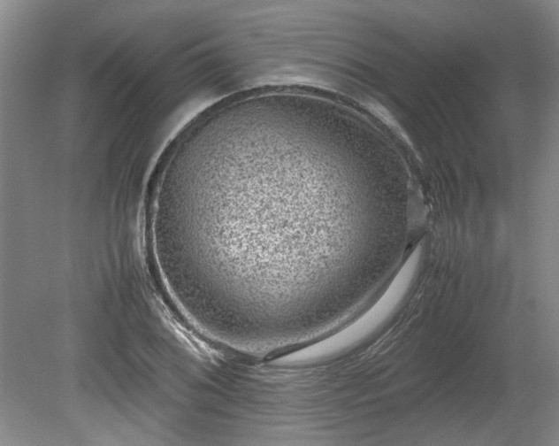 X0000078861076200611201307