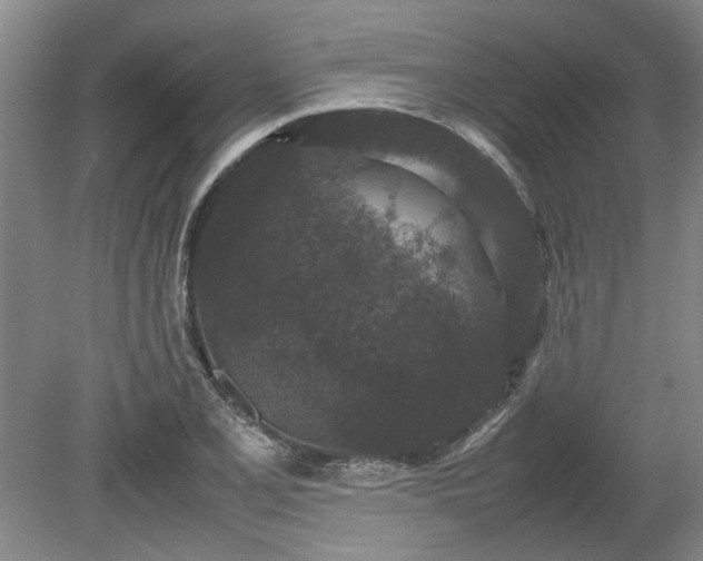 X0000078861077200611201307