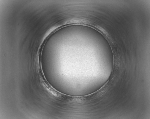 X0000078861078200611201307