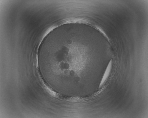 X0000078861079200611201307