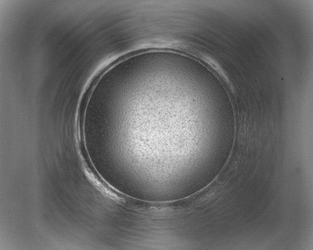 X0000078861080200611201307