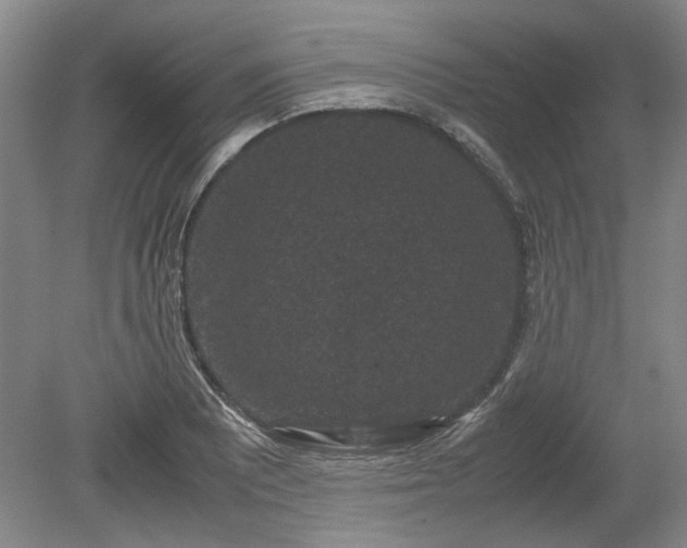 X0000078861081200611201307