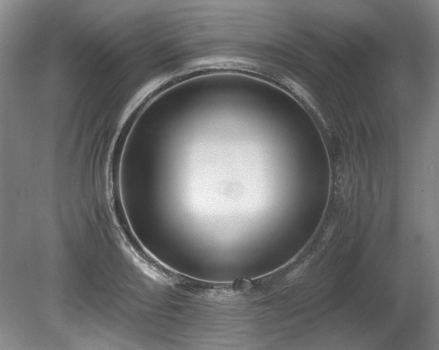 X0000078861082200611201307