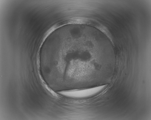 X0000078861083200611201307