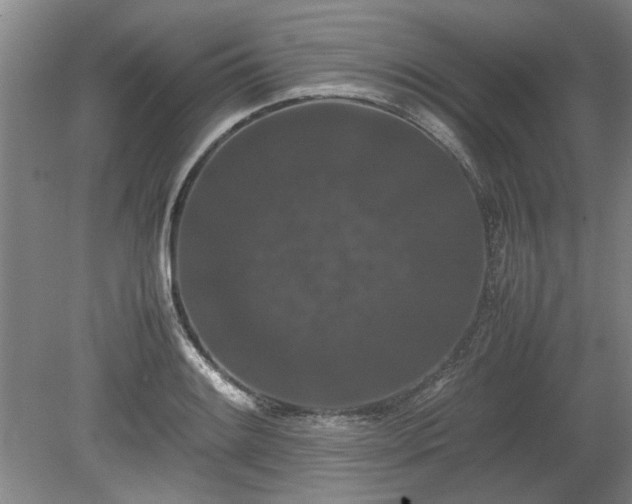 X0000078861084200611201307