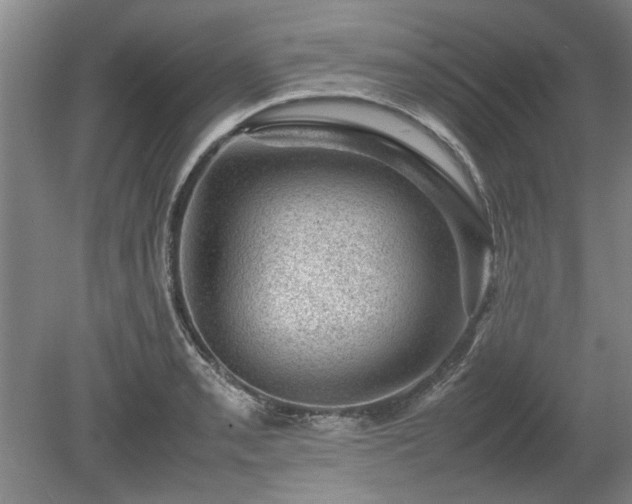 X0000078861085200611201307