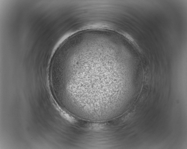 X0000078861086200611201307