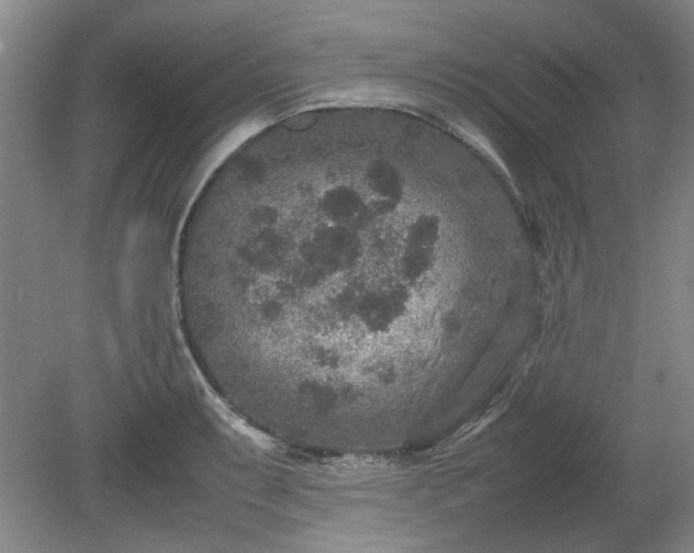 X0000078861087200611201307