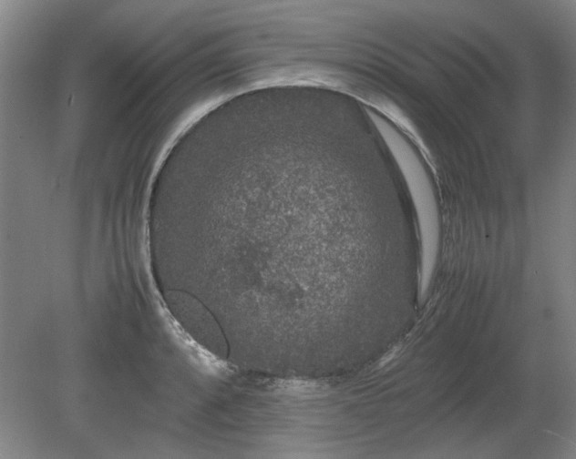 X0000078861088200611201307