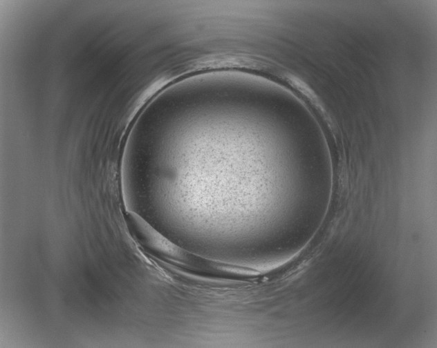 X0000078861089200611201307