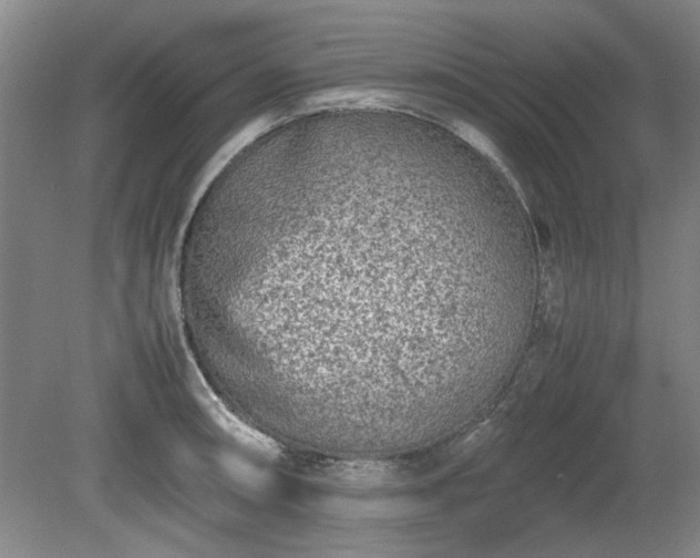 X0000078861090200611201307