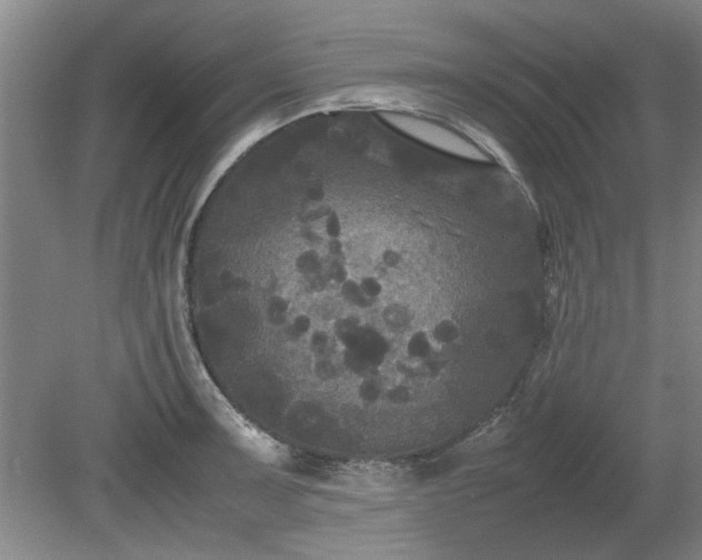 X0000078861091200611201307