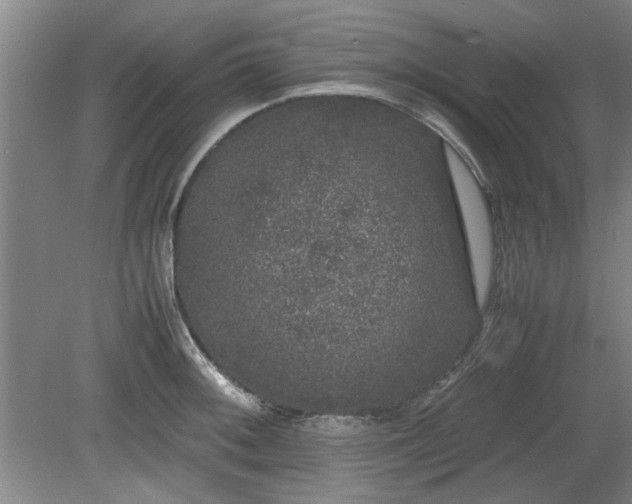 X0000078861092200611201307