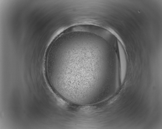 X0000078861093200611201307