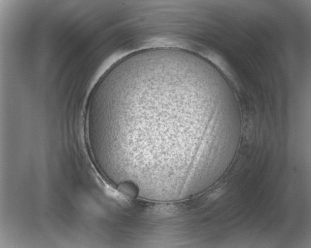 X0000078861094200611201307