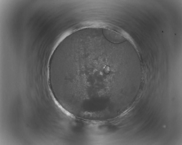 X0000078861095200611201307