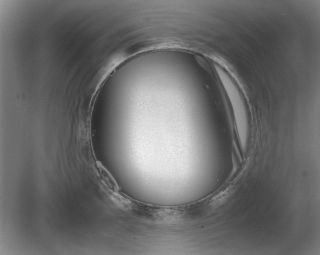 X0000078861097200611201307