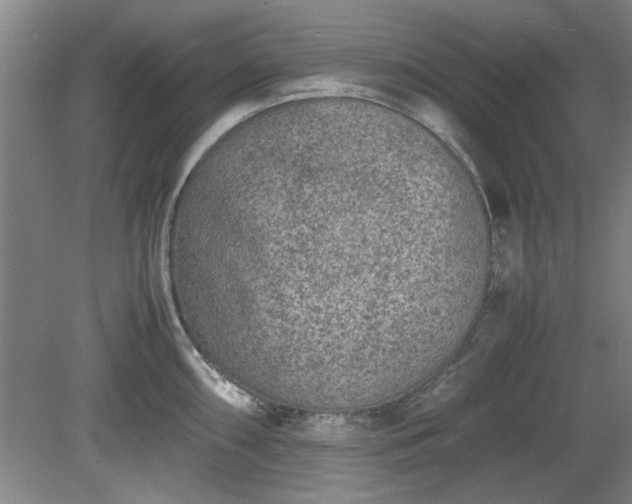 X0000078861098200611201307