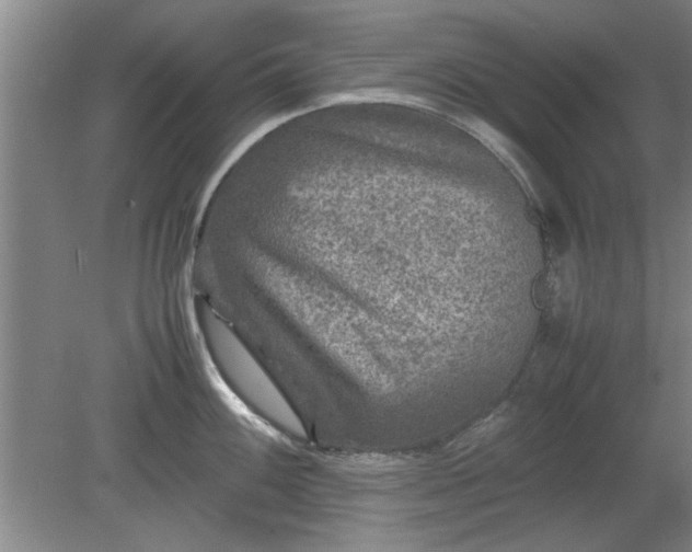 X0000078861100200611201307