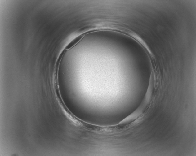 X0000078861101200611201307