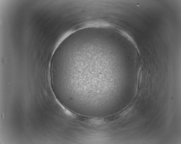 X0000078861103200611201307