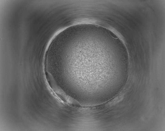 X0000078861104200611201307