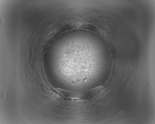 X0000078861105200611201306