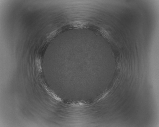 X0000078861106200611201306