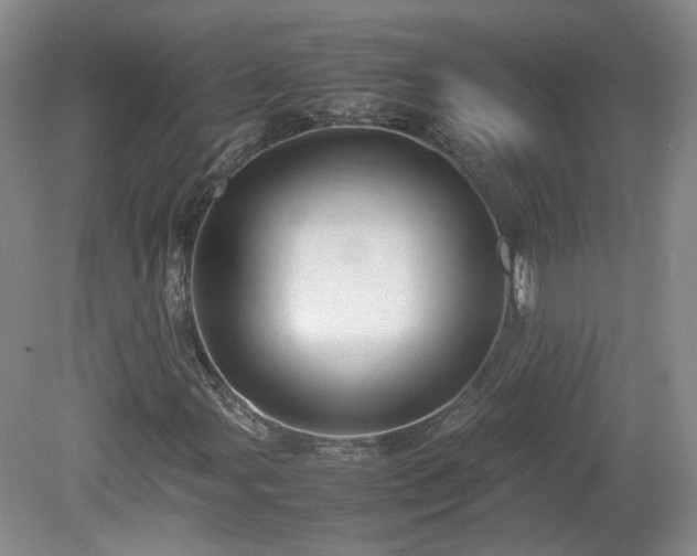 X0000078861107200611201306