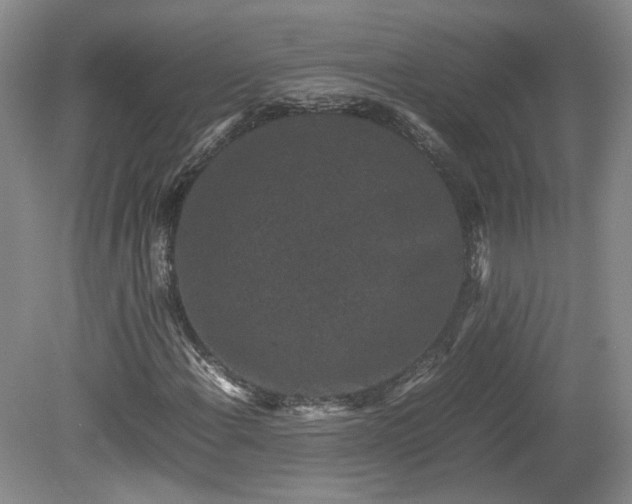 X0000078861108200611201306