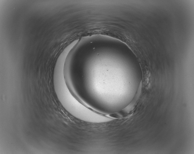 X0000078861109200611201306