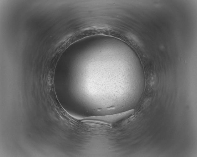 X0000078861110200611201306