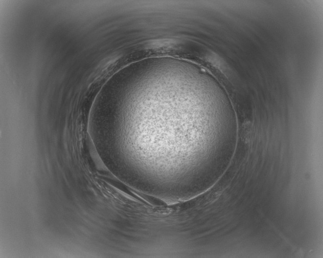 X0000078861111200611201306