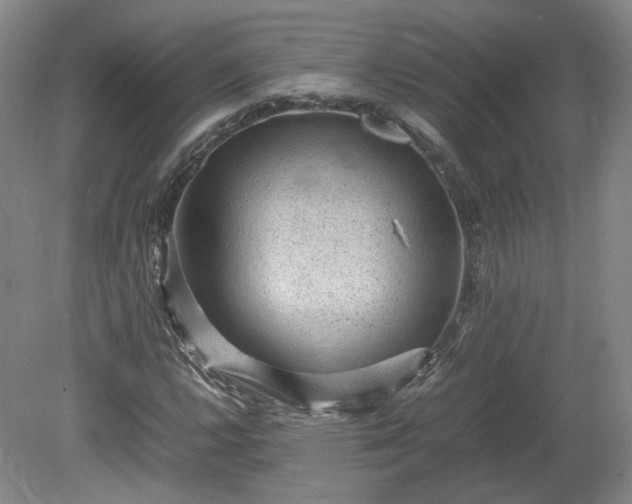 X0000078861112200611201306