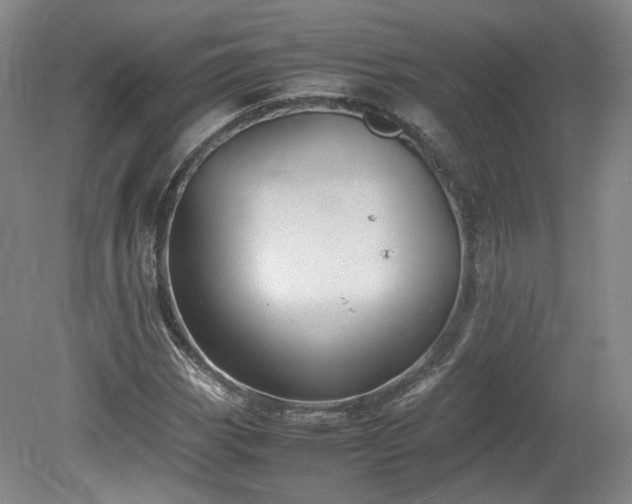 X0000078861113200611201306