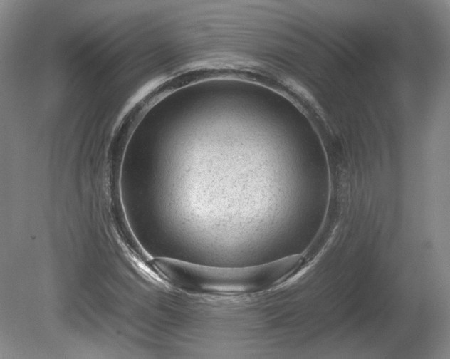 X0000078861114200611201306