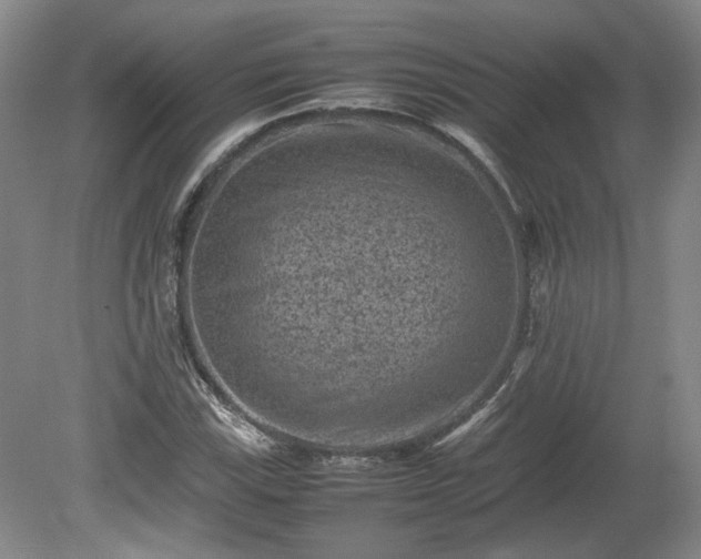 X0000078861115200611201306