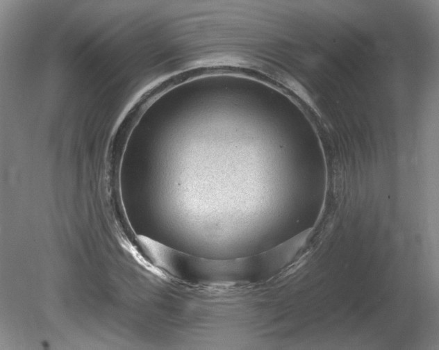 X0000078861116200611201306