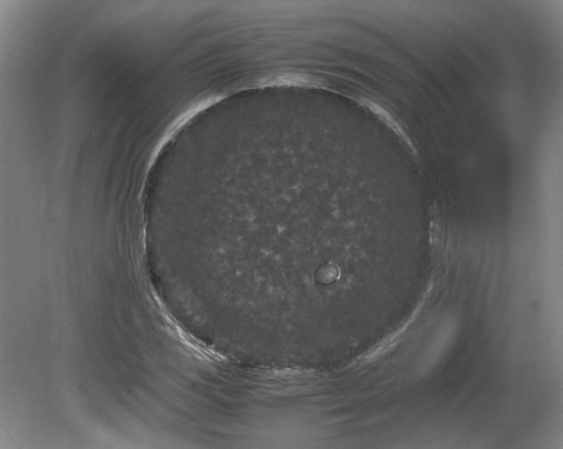 X0000078861117200611201306