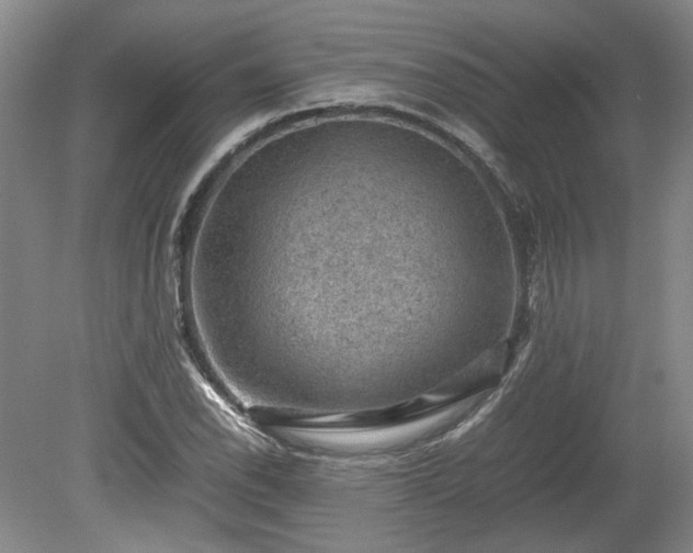 X0000078861118200611201306