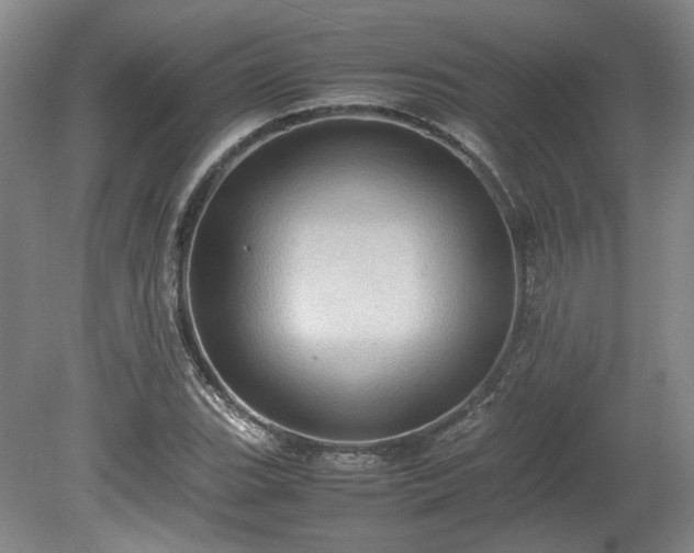 X0000078861119200611201306