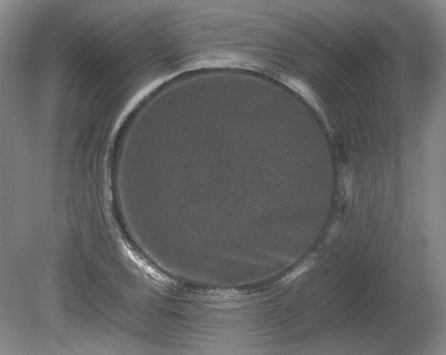 X0000078861120200611201306