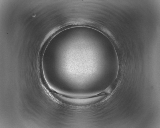 X0000078861122200611201306