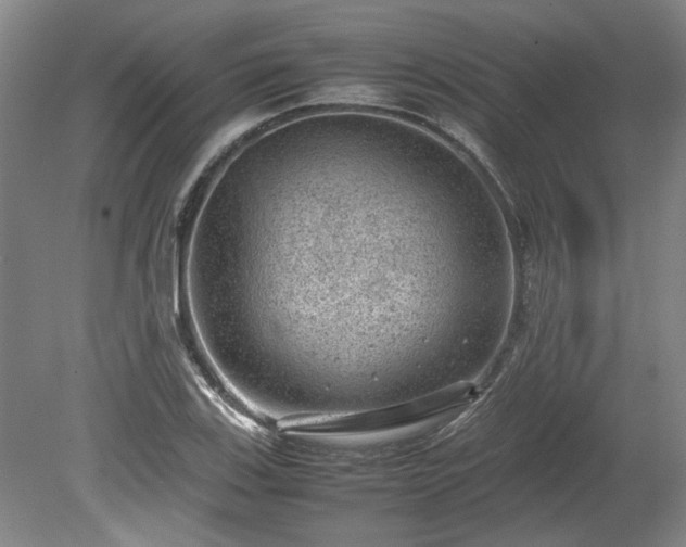 X0000078861123200611201306