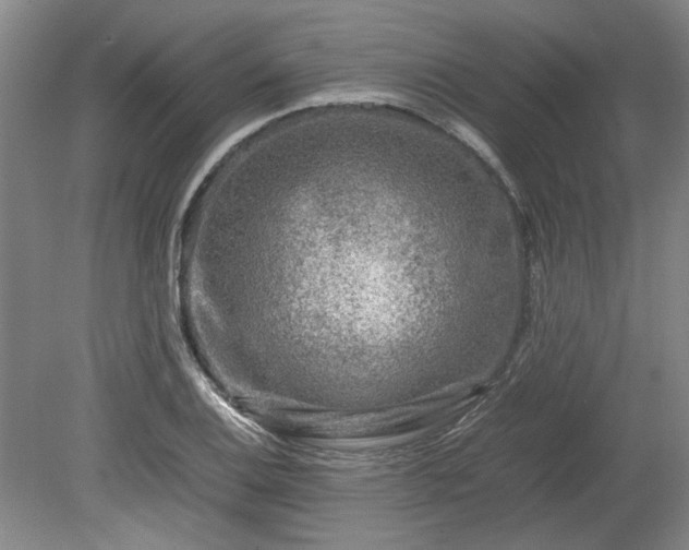 X0000078861124200611201306